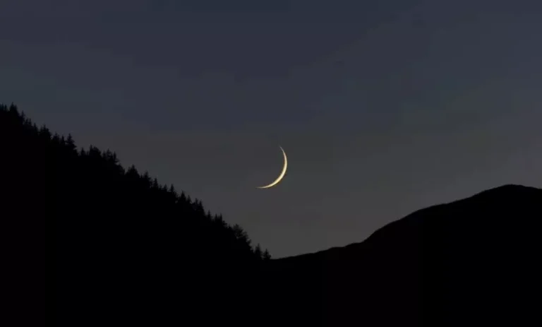 2026_2_16_23_39_21_479