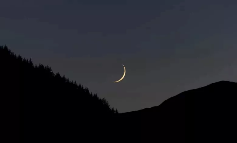 2026_2_16_23_39_21_479