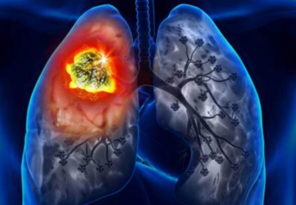 2912309105345202602050839433943