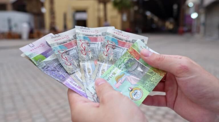 17161495969453202511280329302930