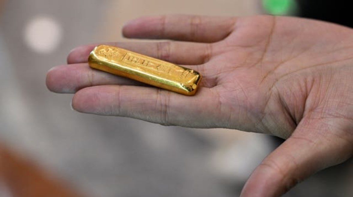 17611056021620260308030923923