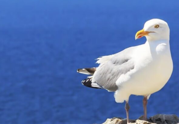 28421531101841202603240940364036