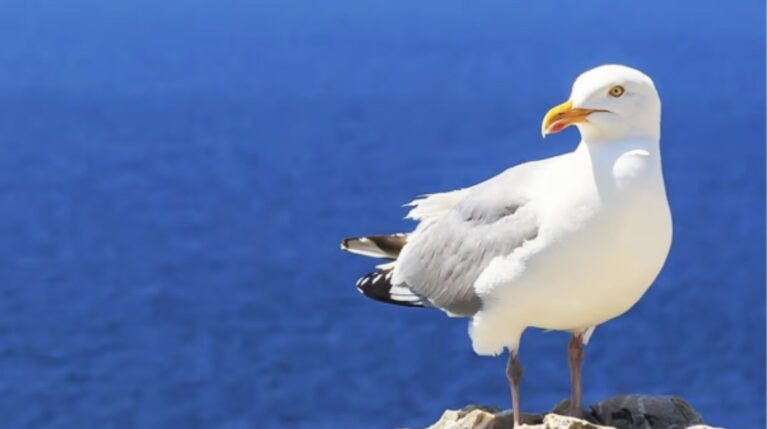 28421531101841202603240940364036