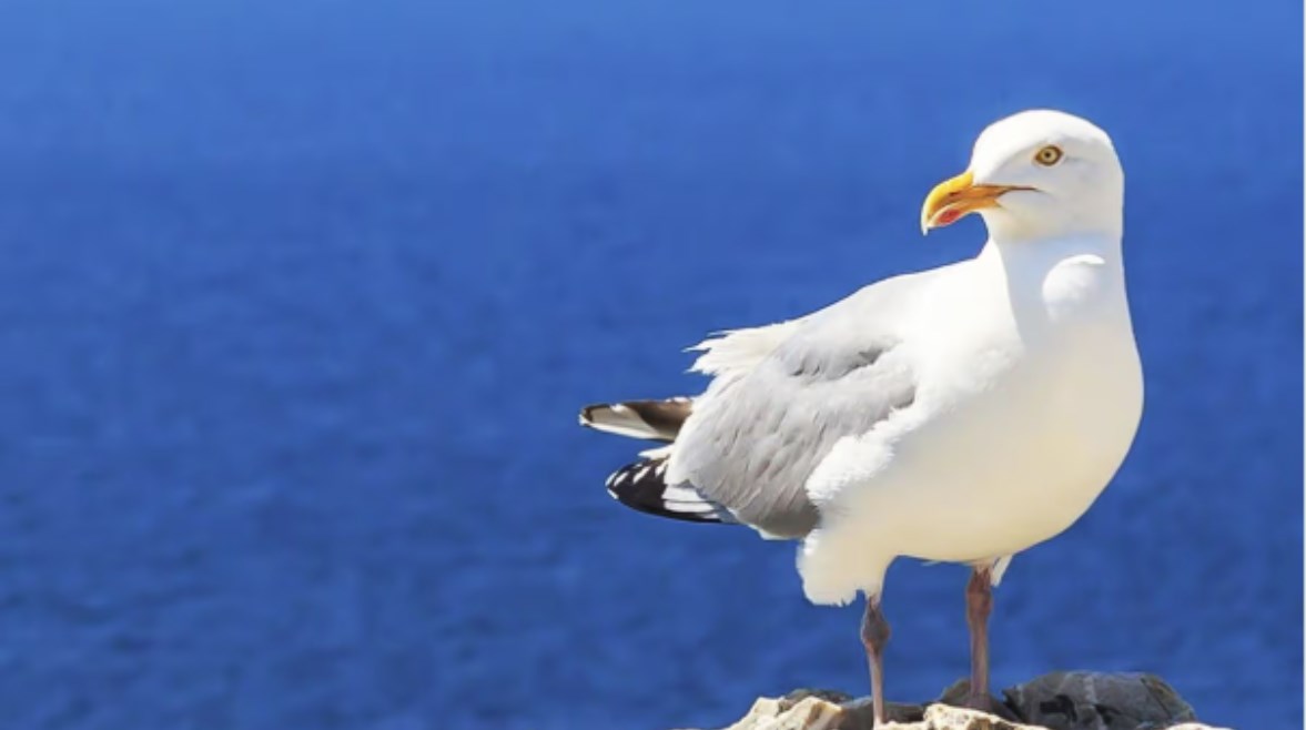 28421531101841202603240940364036