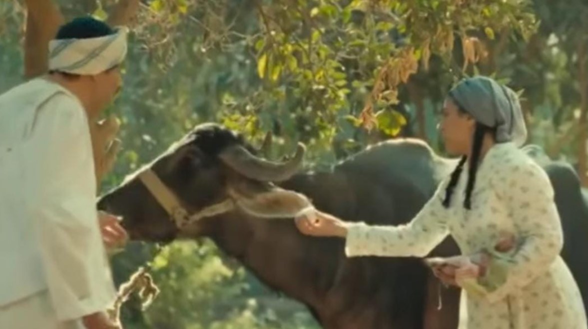 2912309105345202603080357235723