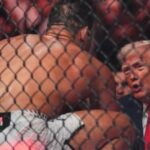 176110560216202604120741174117