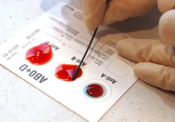 2842153110184120260428091505155