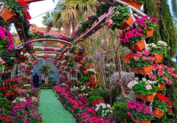 2912309105345202604160822122212