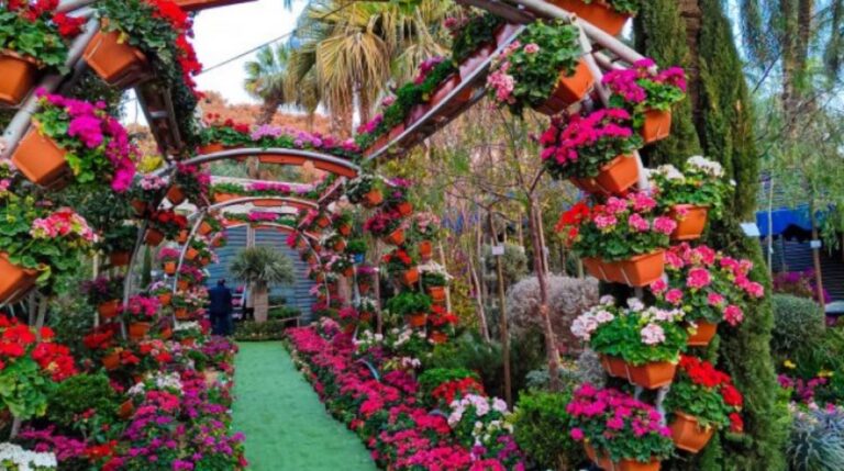 2912309105345202604160822122212