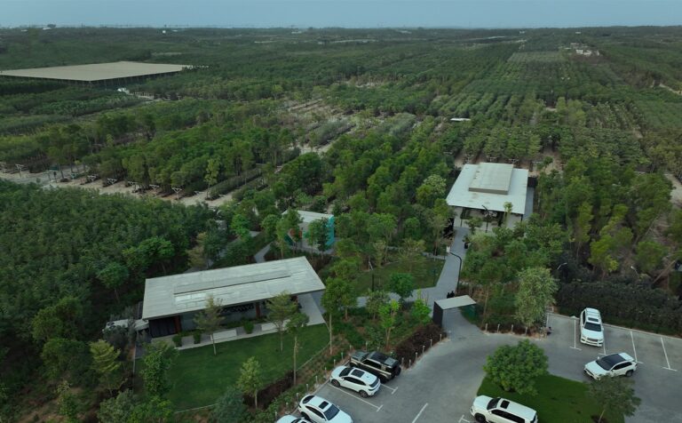 Arada-opens-Shajar-a-new-family-friendly-destination-dedicated-to-trees-at-Sharjah-megaproject-Aljada-2