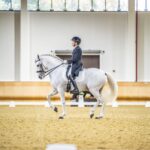 Dressage at TRS
