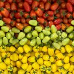 UNS Vertical Farms Al Ain photo5