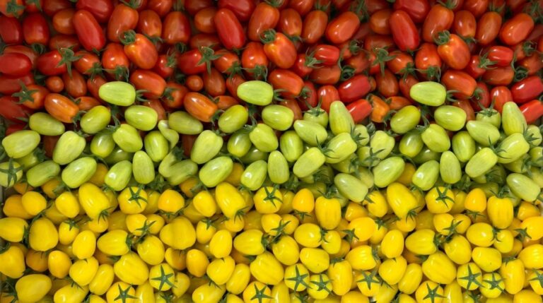 UNS Vertical Farms Al Ain photo5