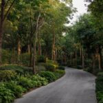 مجتمع مسار 1 في الشارقة (1)_LR