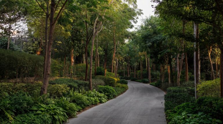 مجتمع مسار 1 في الشارقة (1)_LR