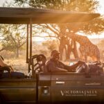 685529-Anantara Stanley & Livingstone Victoria Falls Hotel_Safari Giraffe-4f19ee-original-1782786455