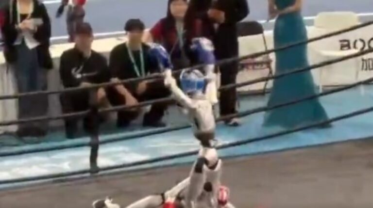 28141739528880202608261148184818