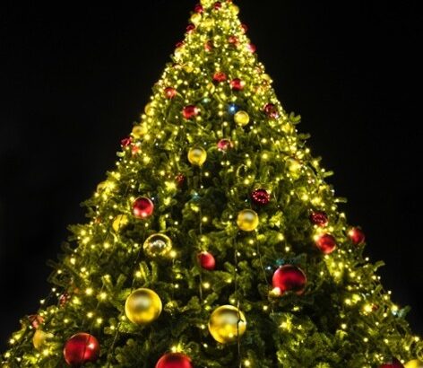 صورة1